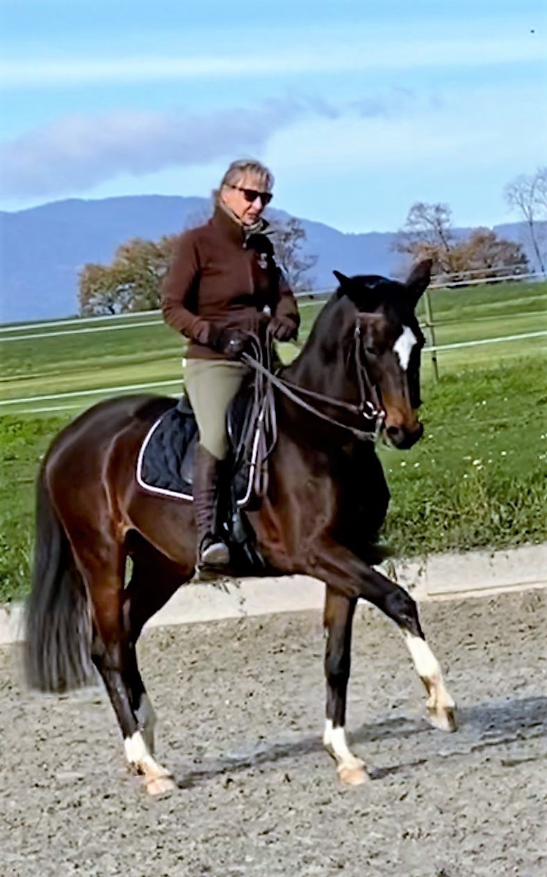 Photo de la jument de Jacqueline Braissant, montée par Delphine Kahn « Revue », trakehner de 24 ans, par  Biotop (père, dernier étalon de R. Klimke) et Caprimond (grand-père maternel). La cavalière est Delphine Kahn qui a monté en saut d’obstacles et dressage au niveau national en Suisse et ensuite a travaillé avec Joël Laugier.