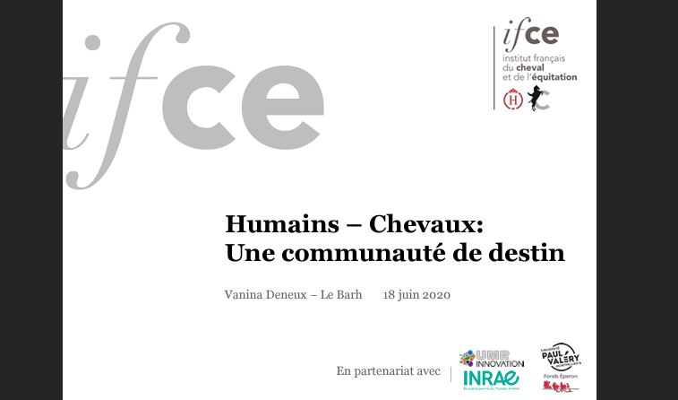 humains et chevaux