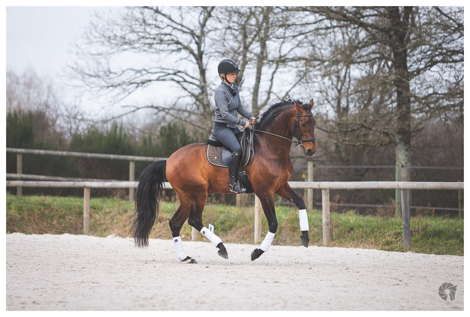 11. Galop rassemblé Photo Zoé Cormerais Coraçao La Goudelie 44