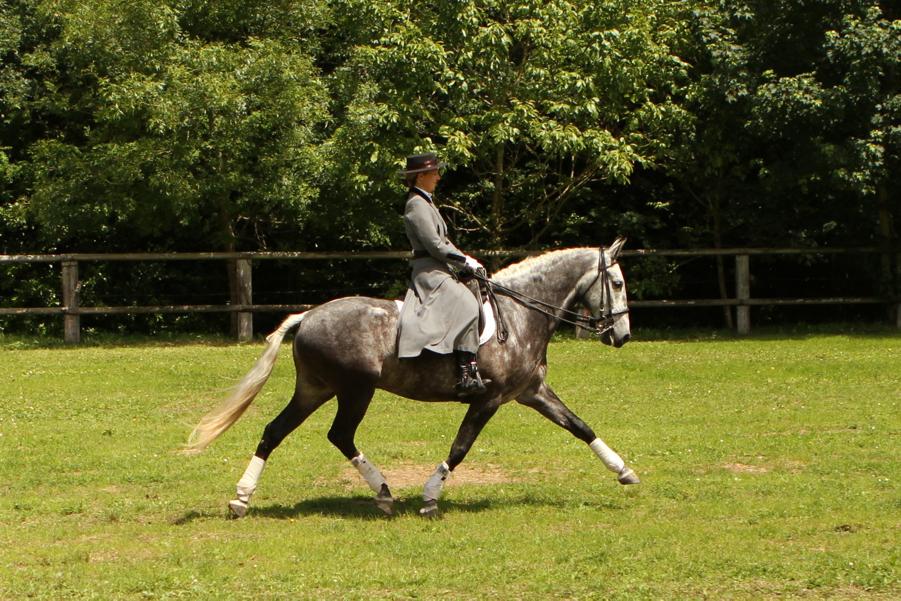 4. Trot allongé Bocador La Goudelie