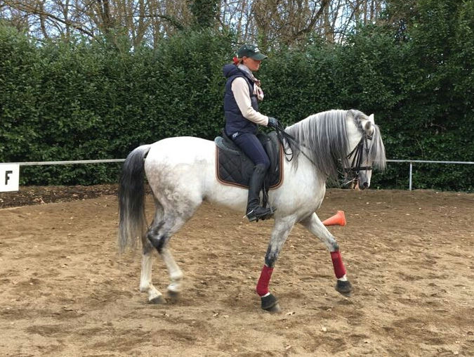 5.dressage eddy pineau