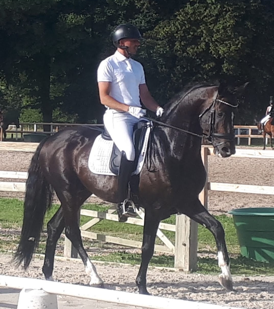 Mathieu Berville sur Fragolino du Parc Photos