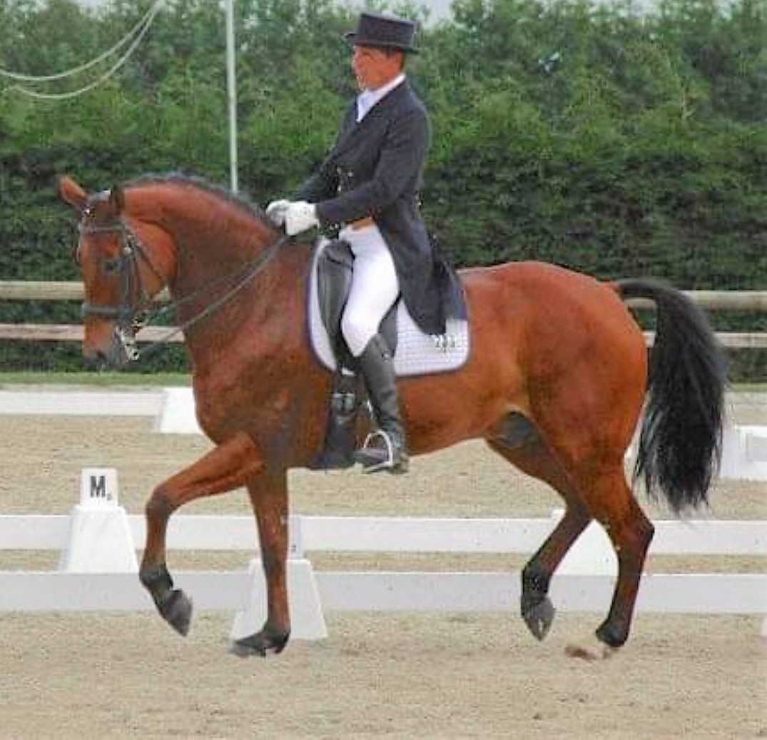 Photo PdB dressage 