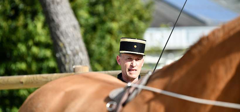 La voix du cavalier 1